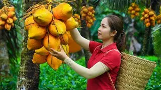 TIMELAPSE - 288 Days Climb Tall Harvesting Coconut Trees To Pick Coconuts Goes To Market Sell