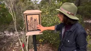 Greater Everglades Conservation Atlas: Lake Wales Ridge