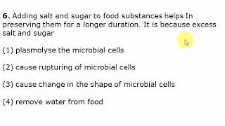 Science Paper 2, CTET 2011 Solved