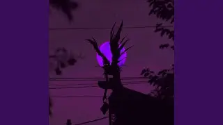 Purple Haze