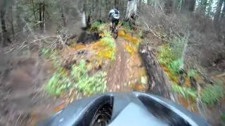 Willamette River Middle Fork Oakridge Oregon