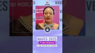 WAVES 2025 | A Platform for Worldwide Creative Connections, Says Eswatini's FM