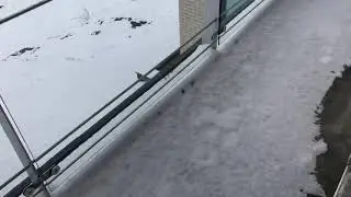 Snowwalking