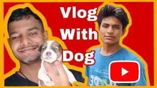 Dogi ke do bachhe ..hostel me ❤️😍
