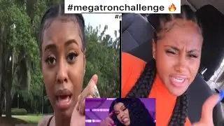 Megatron Challenge Compilation