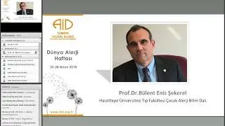 HİK - Sağlık Platformu Webinarlar Serisi 9. Webinar: Sık Görülen Alerjik Hastalıklar