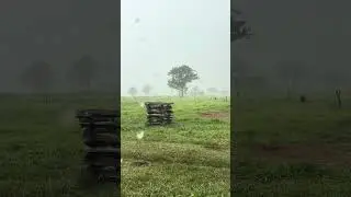 Forte pancada de chuva 🌧️ 12/01/26