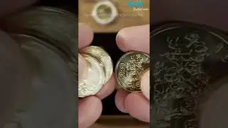 Rare Bluey $1 coin causes Australia Post shop crash as collectors start a 'Dollarbuck rush'