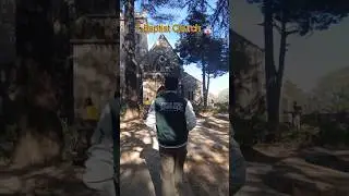 Top 5 places to visit in Kasauli 🌞☀️ #kasauli #travel #nature #mountains #viral #shorts #youtube