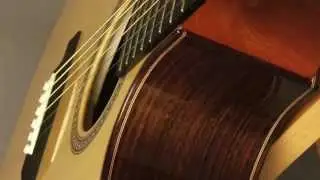 Thomas Rein Guitar Critique - Guitar Gallery of TN