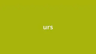 what is the meaning of urs.