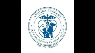Practical approach to corneal ulcer management in dogs and cats