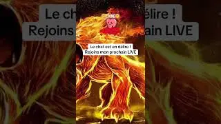 🌞Le Fanatisme de L'Invisible #supraconsciencevibratoire #hyperconscience #supramental🌞
