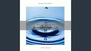 Wild Coastal Noises for Best Nights and Recharge part 2