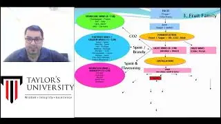 Introduction to Wines