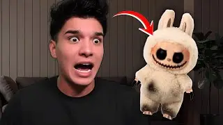 Are Labubu Dolls Evil?