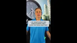 Adaptogens & Circadian Rhythm: Formulation Consulting for Stress-Support Supplements