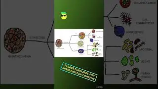 Bioremediation for Beginners #biotech #science #technology #biotechnology #biotechnologist #biology