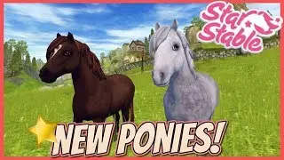 Star Stable Online | The NEW Jorvik Pony!