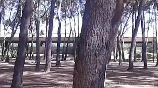 Parque san Crist&oacute;bal 2019(1)