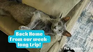 Back home from our week-long trip *The Grabbers