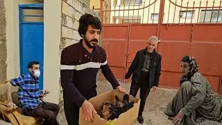 От реальной жизни вдовы и её брака с молодым человеком до подарка от соседа.