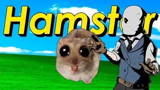 HeyGrey reacciona a Hamster