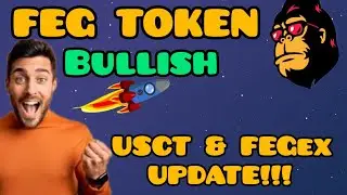 #FEG TOKEN BULLISH 🔥 watch |Usct & FegEx update| buy and hold feg token for massive profits #crypto