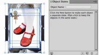 Multi-state Objects