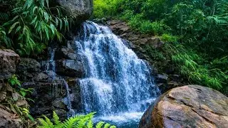 Waterfall, Bird Sounds, Beautiful Piano Music For Relaxing, Deep Sleep, Meditation, Study #018