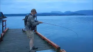 Mackerel on the Fly - Gros Morne Newfoundland Canada.