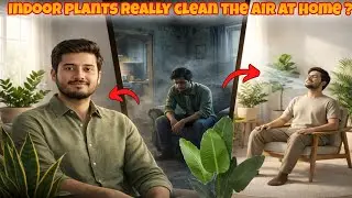 Do 5 SIMPLE Indoor Plants REALLY Clean the Air at Home?#signlanguage 