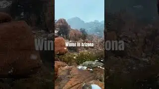 Winter in Arizona is delightful!