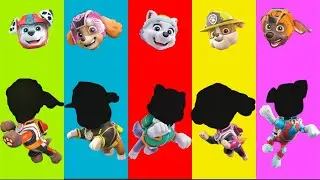 Wrong eyes👀 challenge DAME TU COSITA Funny Puzzle Wrong Heads
