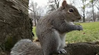 A nibble of avacad