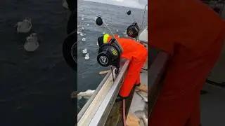 Rock fishing season is just around the corner - don&rsquo;t wait to get ready!