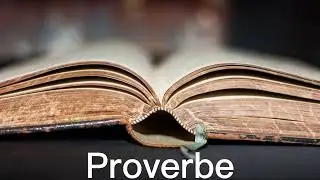 Rom&acirc;nă Audio Bible - Proverbe (COMPLET) - Noua Traducere Rom&acirc;nească (NTR)