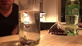 Mark får rosiner til at danse