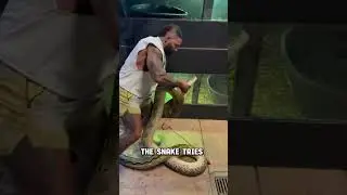Man vs Python 😱