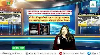 &ldquo;306 Stolen Canadian Vehicles Recovered: Organized Crime Ring Busted&rdquo;