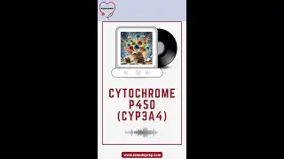 Cytochrome P450 3A4 (CYP3A4)