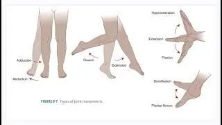 Types of Joint Movements Explained | Flexion, Extension, Rotation & More | Anatomy Made Easy