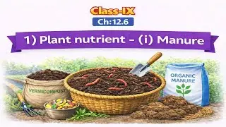 IX - Ch:12 - 6) Plant nutrient - (i) Manure  ...... (Class IX - Ch:12 Improvement in food resources)