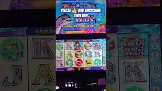 Twin Win first time playing this #slot #casino #winstarworldcasino