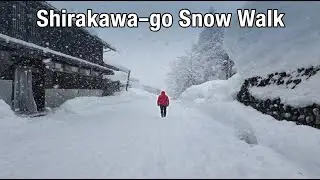 Shirakawa-go Winter Walking Tour | Snow Village Walk | No Talking