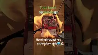 Burning increasingly expensive cards (5.50$) metazoo jersey devil #fire #destruction #metazoo