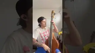 Primus - Over the Falls #basscover #bassist #upright #doublebass #primus #music