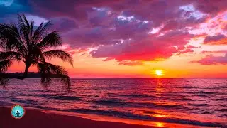3 Hour Relaxing Meditation Piano Music! Study Music Tuneone,  Sleep Music, Calming Music, Insomnia 3