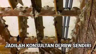 BERAPA LAMA WALET INAP SAMPAI MEMBUAT SARANG DI RBW BARU