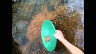 VA gold in found Goldvein Virginia! (gold panning)